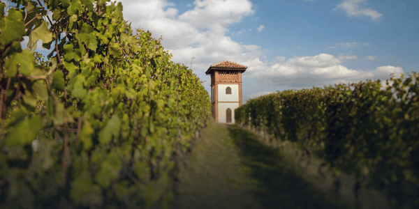Figli Luigi Oddero, La Morra, Piedmont