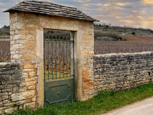 Domaine Leflaive hero image